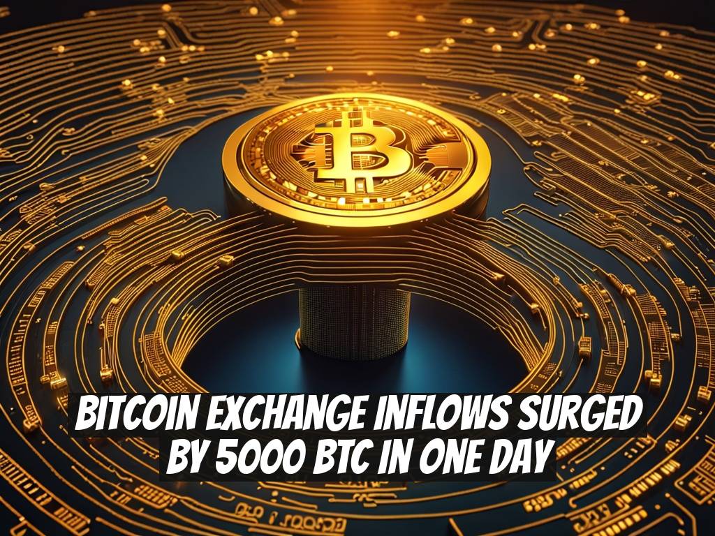 Bitcoin Exchange Inflows Surged by 5000 BTC in One Day