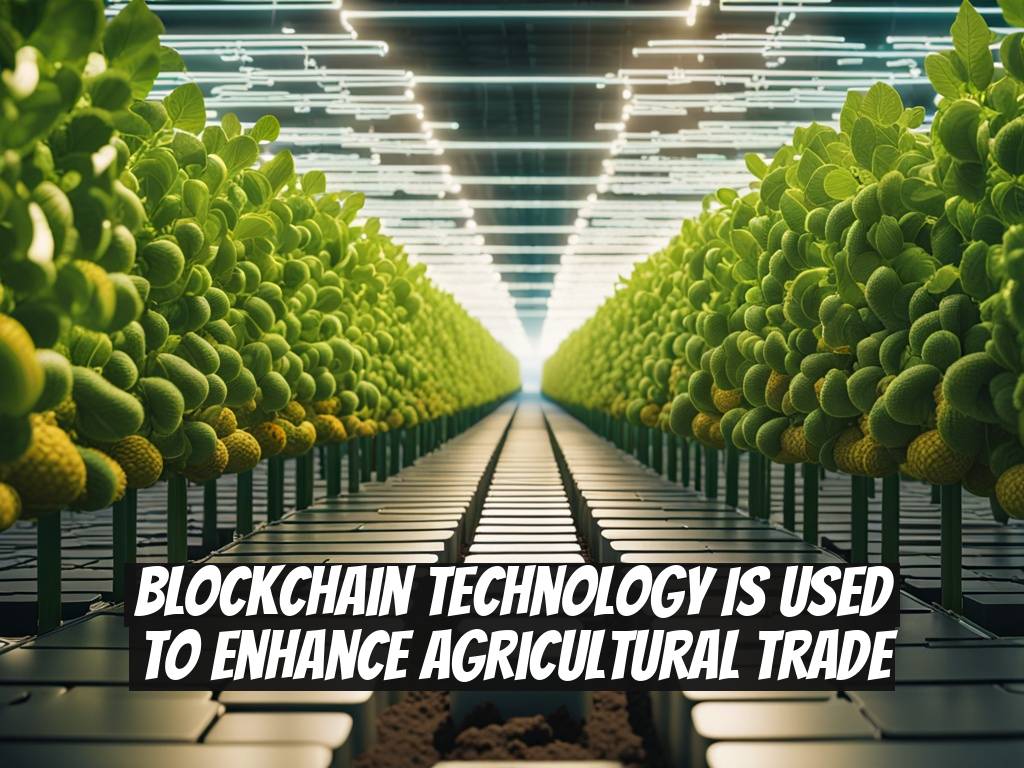 Blockchain Technology is Used to Enhance Agricultural Trade