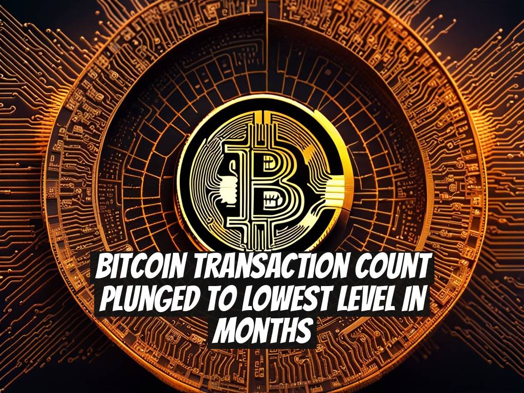 Bitcoin Transaction Count Plunged to Lowest Level in Months