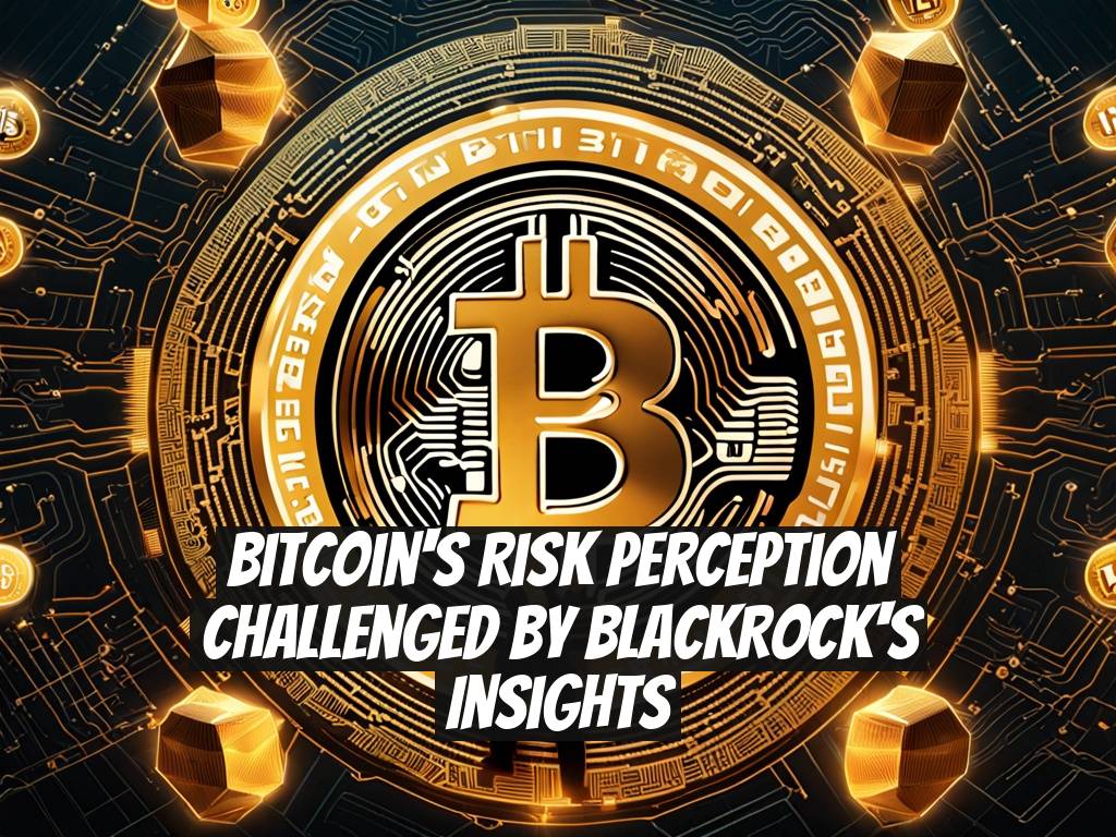 Bitcoin's Risk Perception Challenged by BlackRock's Insights