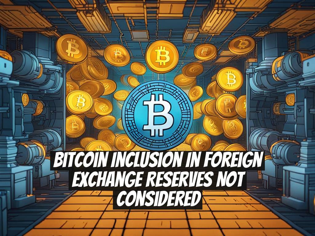 Bitcoin Inclusion in Foreign Exchange Reserves Not Considered