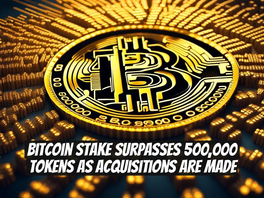 Bitcoin Stake Surpasses 500,000 Tokens as Acquisitions Are Made