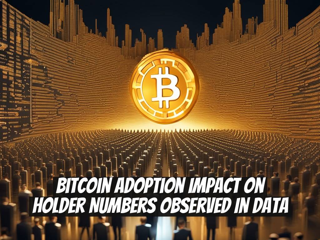 Bitcoin Adoption Impact on Holder Numbers Observed in Data