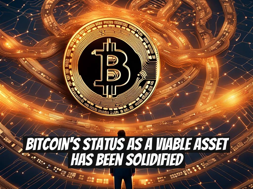 Bitcoin's Status as a Viable Asset has Been Solidified