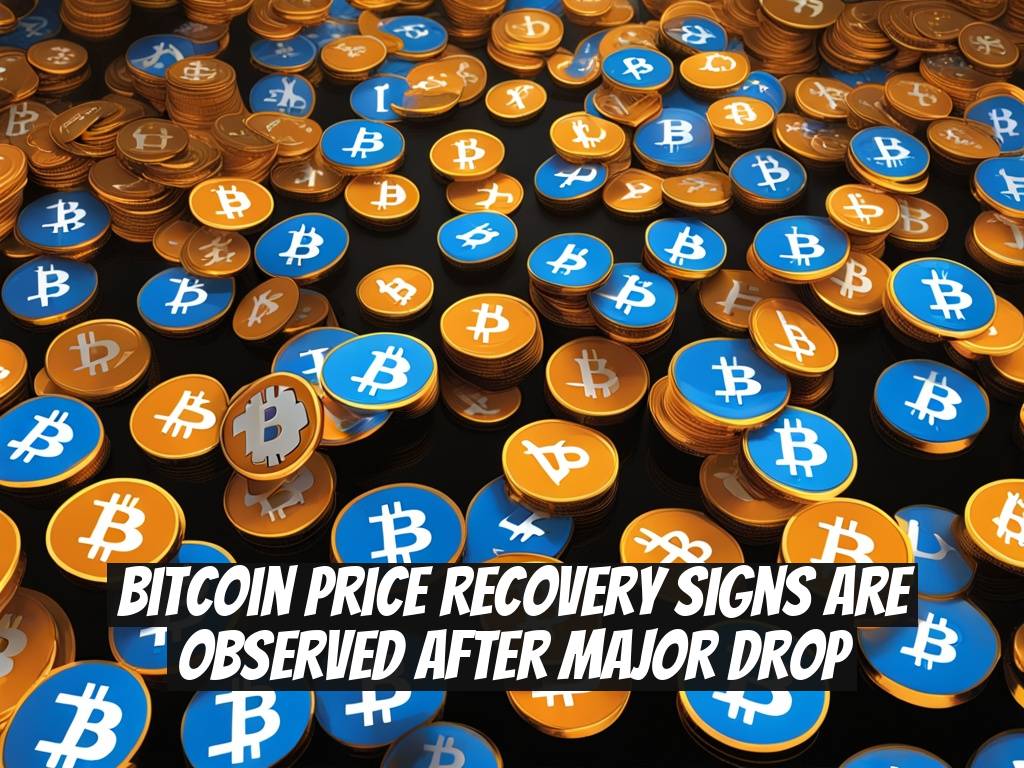 Bitcoin Price Recovery Signs Are Observed After Major Drop