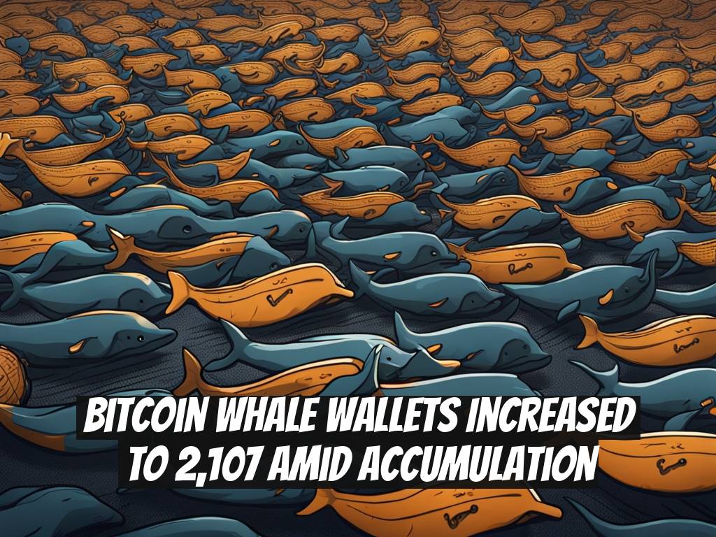 Bitcoin Whale Wallets Increased to 2,107 Amid Accumulation