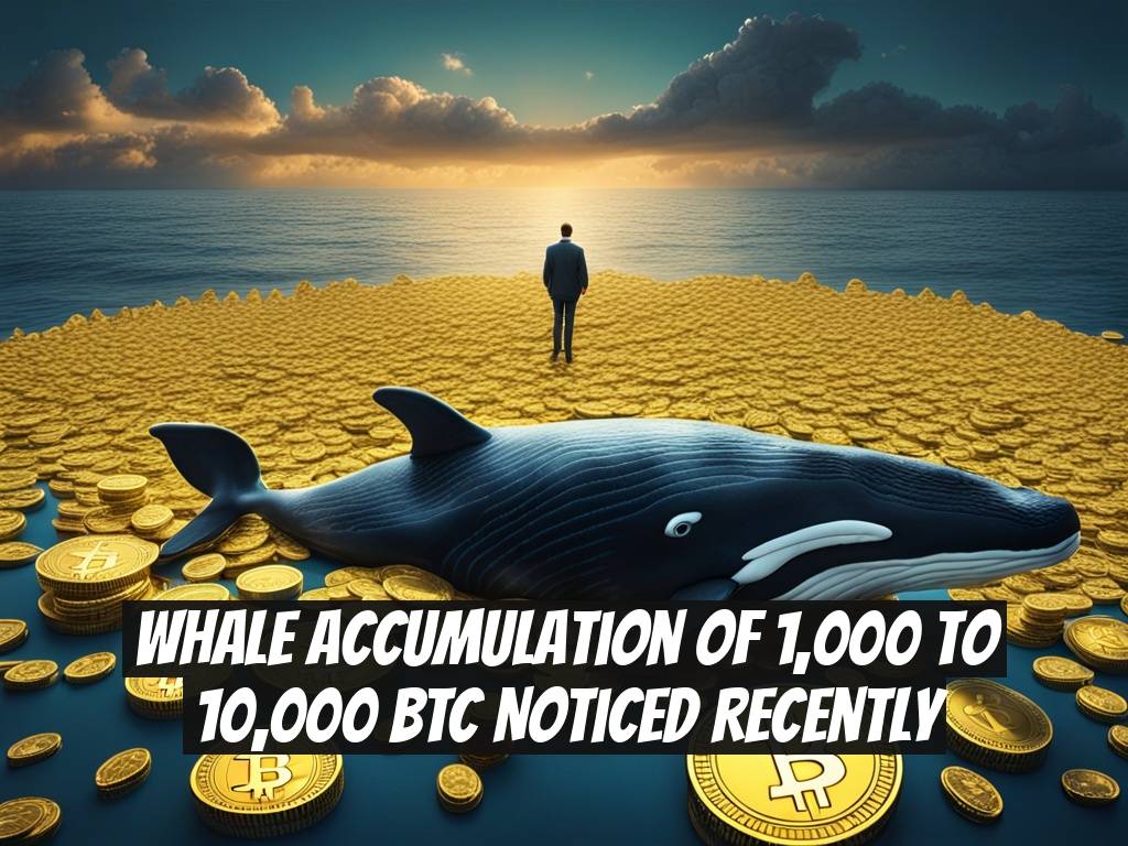 Whale Accumulation of 1,000 to 10,000 BTC Noticed Recently