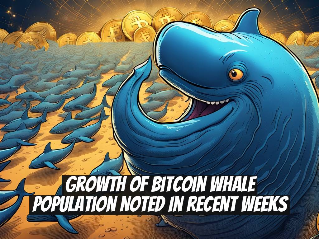 Growth of Bitcoin Whale Population Noted in Recent Weeks