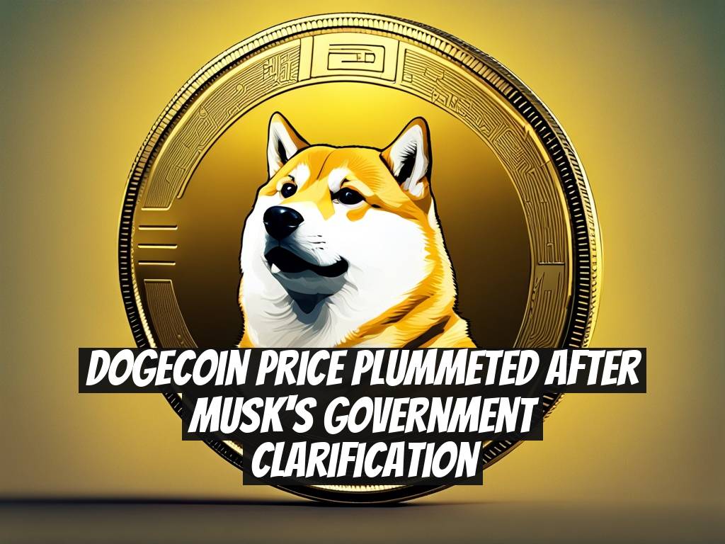 Dogecoin Price Plummeted After Musk's Government Clarification