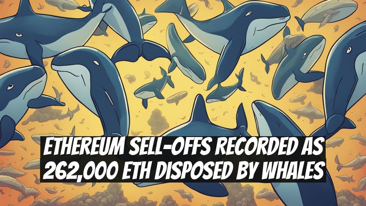 Ethereum Sell-Offs Recorded as 262,000 ETH Disposed by Whales