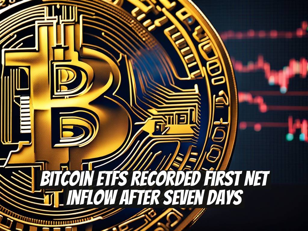 Bitcoin ETFs Recorded First Net Inflow After Seven Days