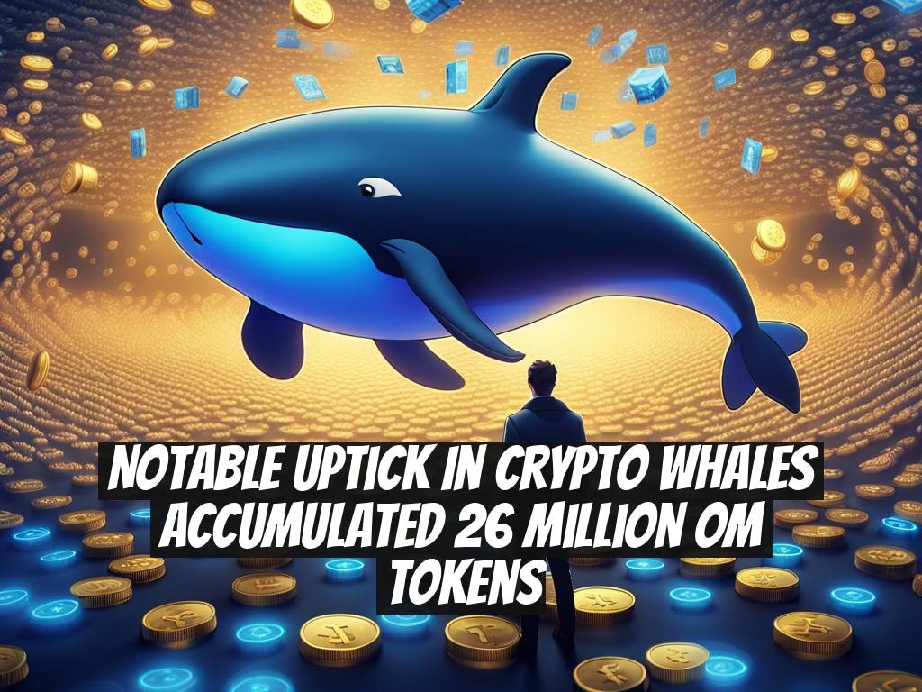 Notable Uptick in Crypto Whales Accumulated 26 Million OM Tokens