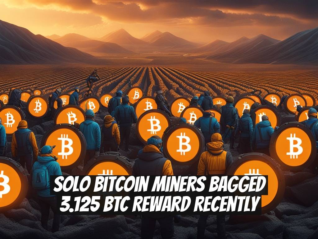 Solo Bitcoin Miners Bagged 3.125 BTC Reward Recently