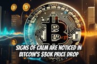 Signs of Calm Are Noticed in Bitcoin's $30K Price Drop