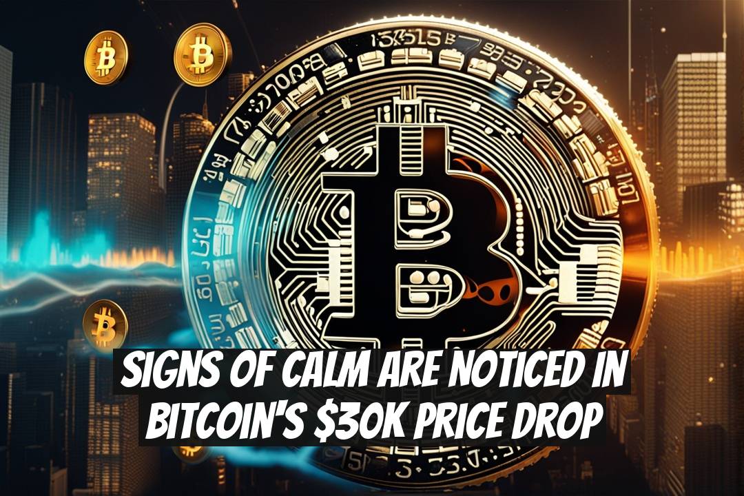 Signs of Calm Are Noticed in Bitcoin's $30K Price Drop
