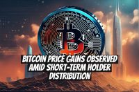 Bitcoin Price Gains Observed Amid Short-Term Holder Distribution