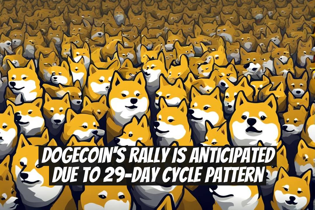 Dogecoin's Rally Is Anticipated Due To 29-Day Cycle Pattern