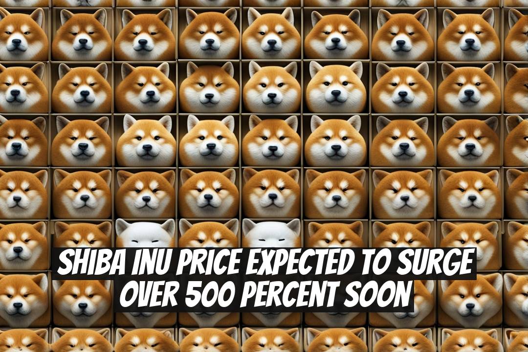 Shiba Inu Price Expected to Surge Over 500 Percent Soon