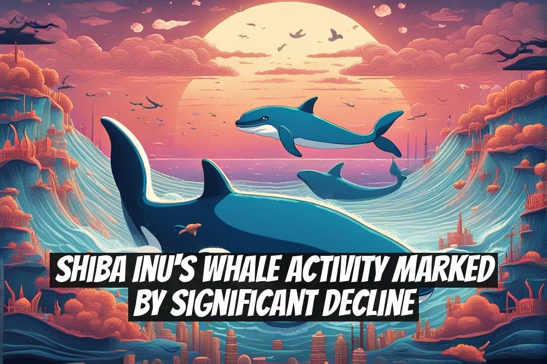 Shiba Inu's Whale Activity Marked by Significant Decline