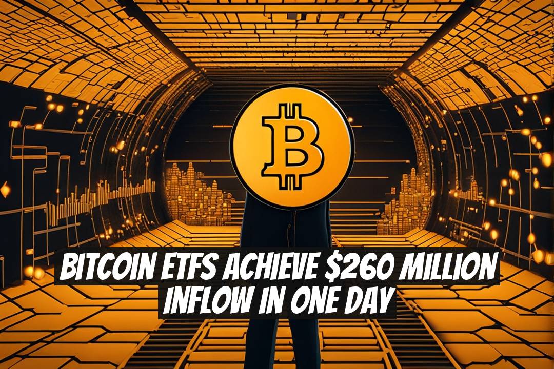 Bitcoin ETFs Achieve $260 Million Inflow in One Day