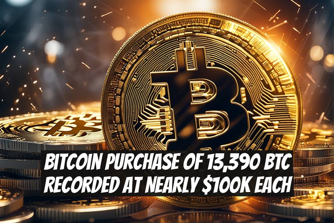 Bitcoin Purchase of 13,390 BTC Recorded at Nearly $100K Each