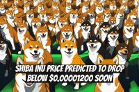 Shiba Inu Price Predicted to Drop Below $0.00001200 Soon