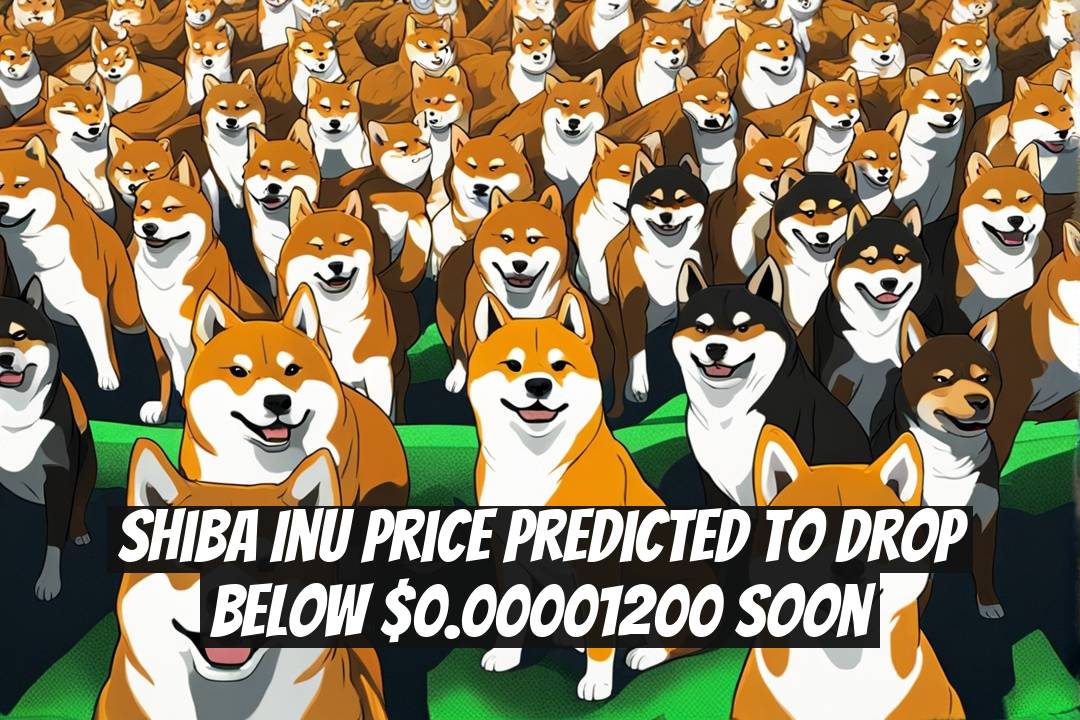 Shiba Inu Price Predicted to Drop Below $0.00001200 Soon