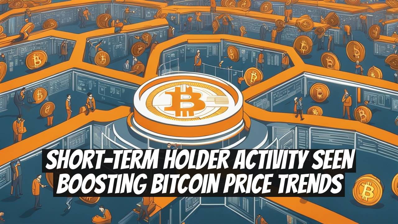Short-Term Holder Activity Seen Boosting Bitcoin Price Trends