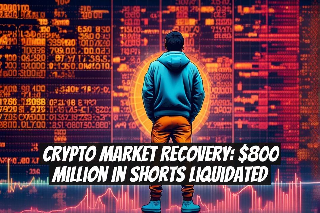 Crypto Market Recovery: $800 Million in Shorts Liquidated