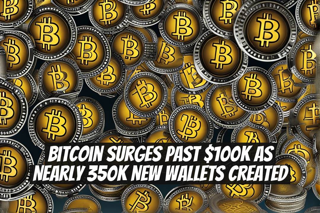 Bitcoin Surges Past $100K as Nearly 350K New Wallets Created