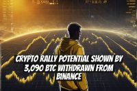 Crypto Rally Potential Shown by 3,090 BTC Withdrawn from Binance