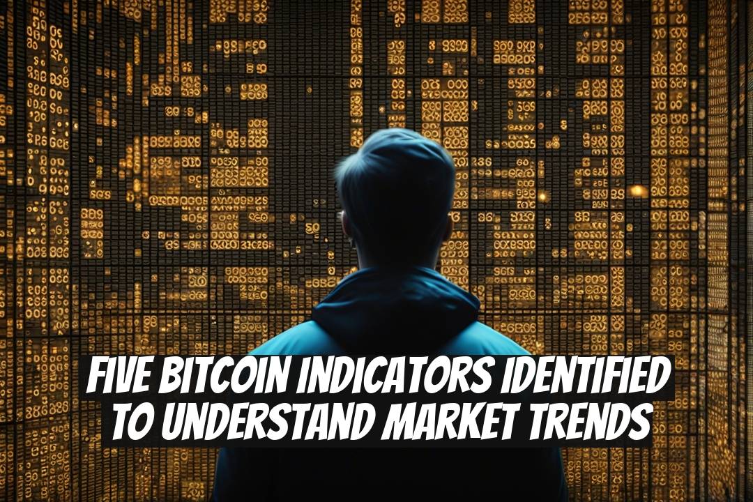 Five Bitcoin Indicators Identified to Understand Market Trends