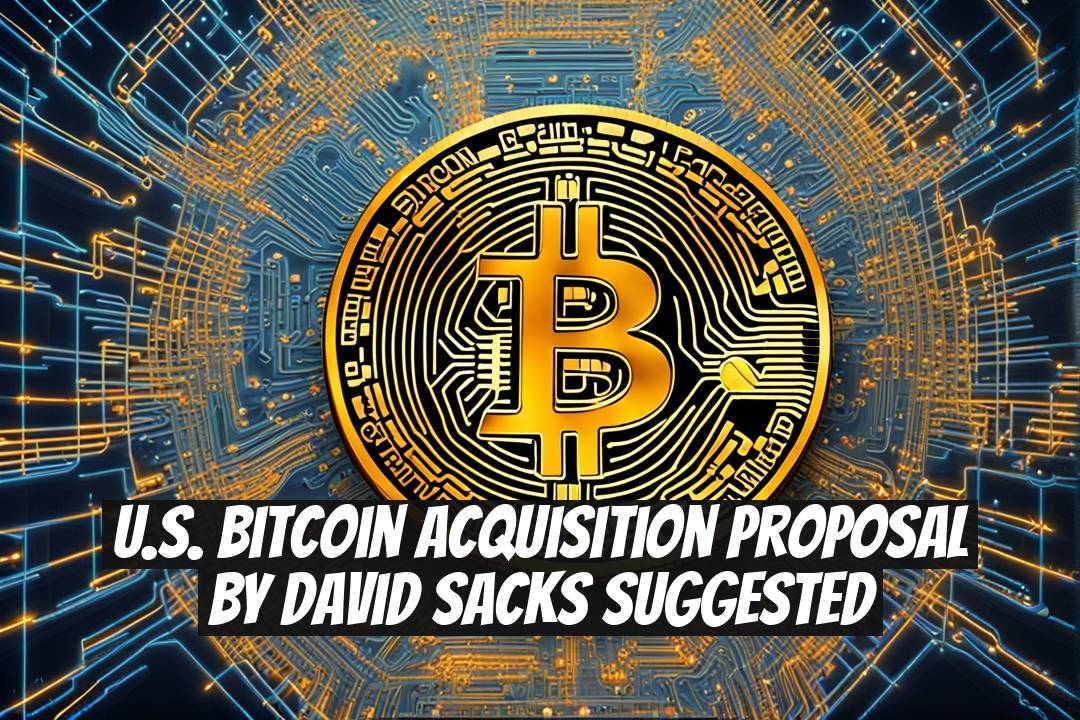 U.S. Bitcoin Acquisition Proposal by David Sacks Suggested