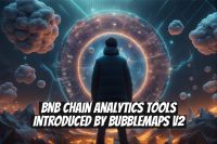 BNB Chain Analytics Tools Introduced by Bubblemaps V2