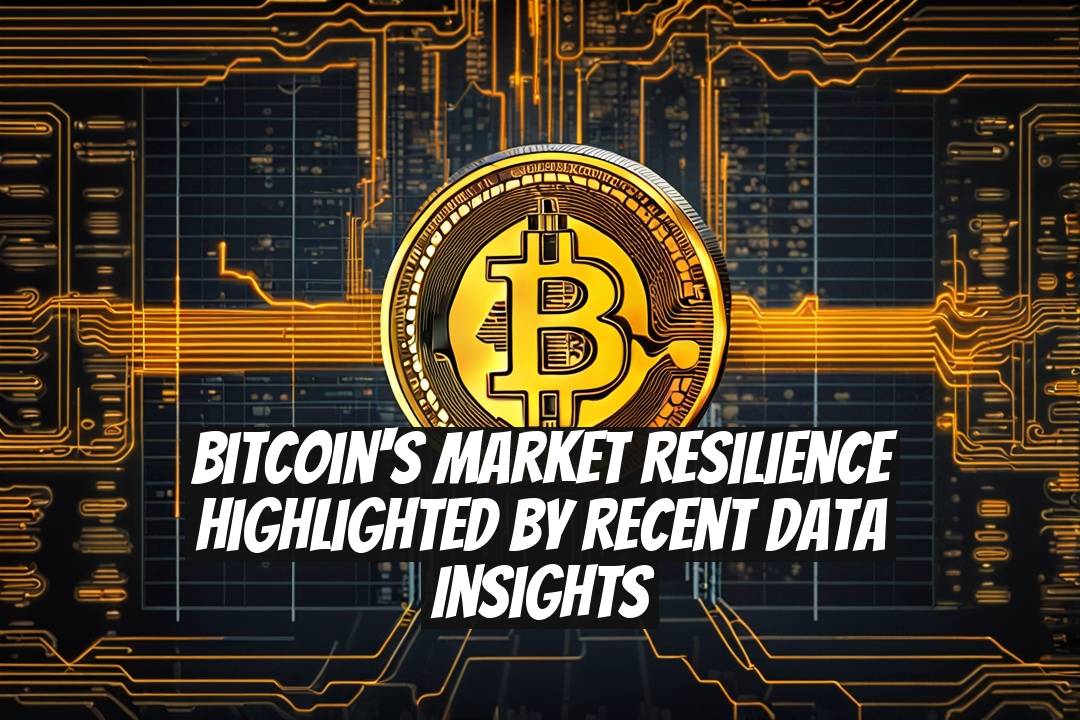 Bitcoin's Market Resilience Highlighted by Recent Data Insights