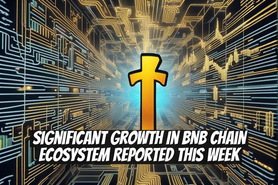 Significant Growth in BNB Chain Ecosystem Reported This Week