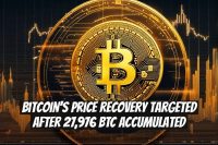 Bitcoin's Price Recovery Targeted After 27,976 BTC Accumulated