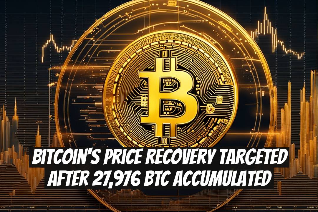 Bitcoin's Price Recovery Targeted After 27,976 BTC Accumulated