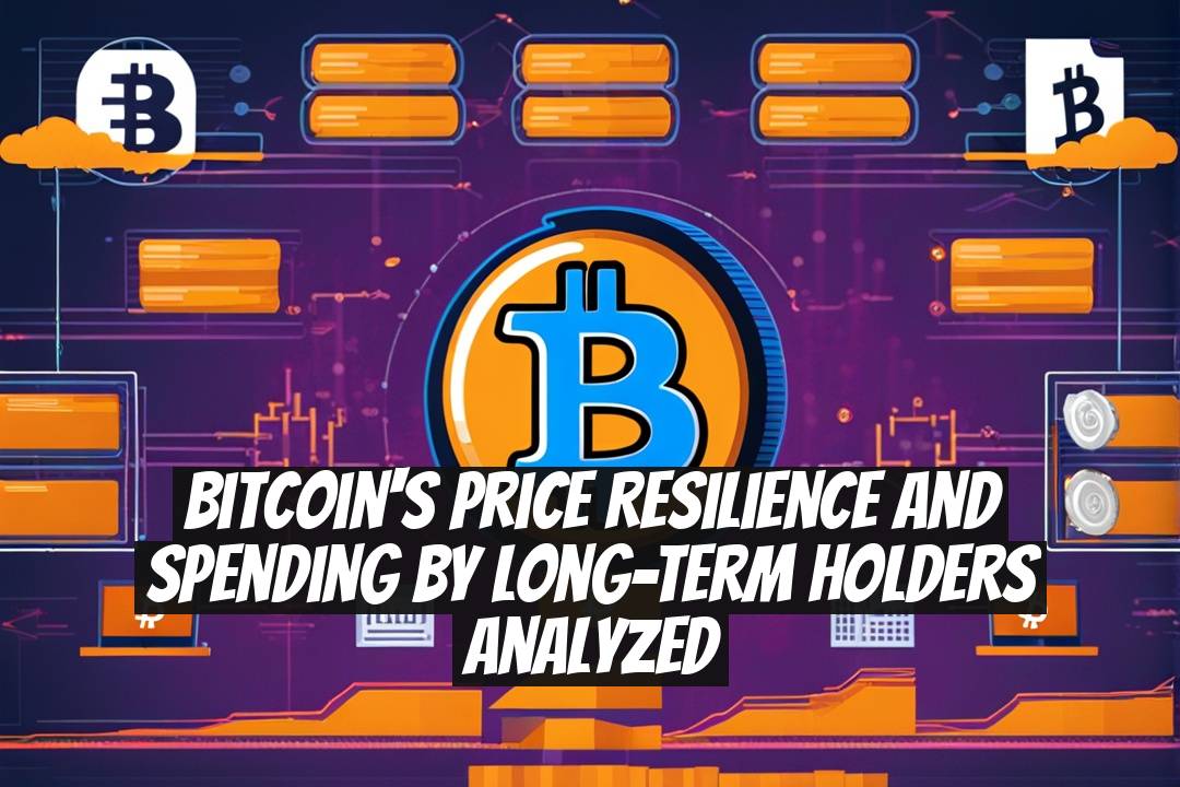 Bitcoin's Price Resilience and Spending by Long-Term Holders Analyzed