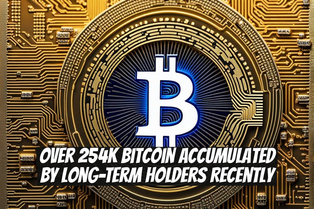 Over 254K Bitcoin Accumulated by Long-Term Holders Recently