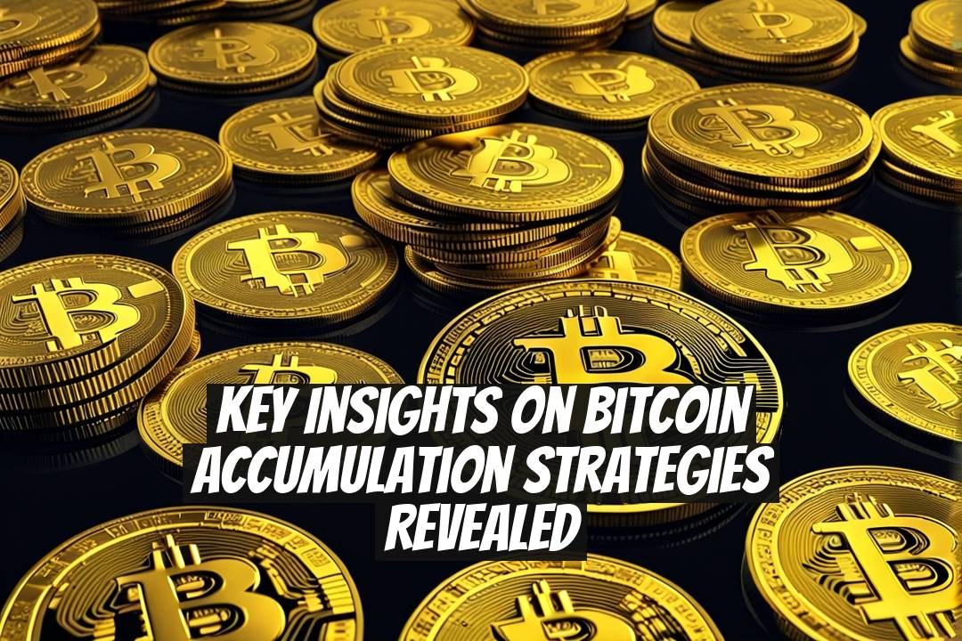 Key Insights on Bitcoin Accumulation Strategies Revealed