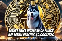 Latest Price Increase of Husky Inu Token Reaches $0.00017376