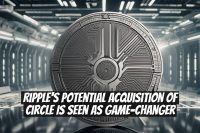 Ripple's Potential Acquisition of Circle is Seen as Game-Changer