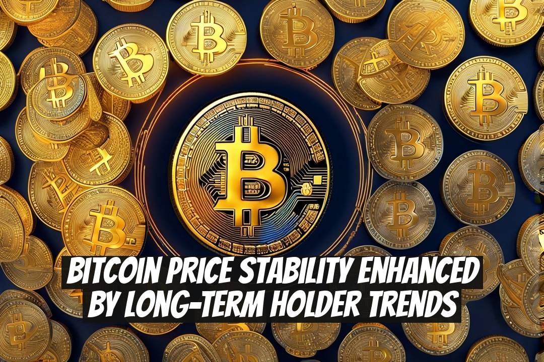 Bitcoin Price Stability Enhanced by Long-Term Holder Trends