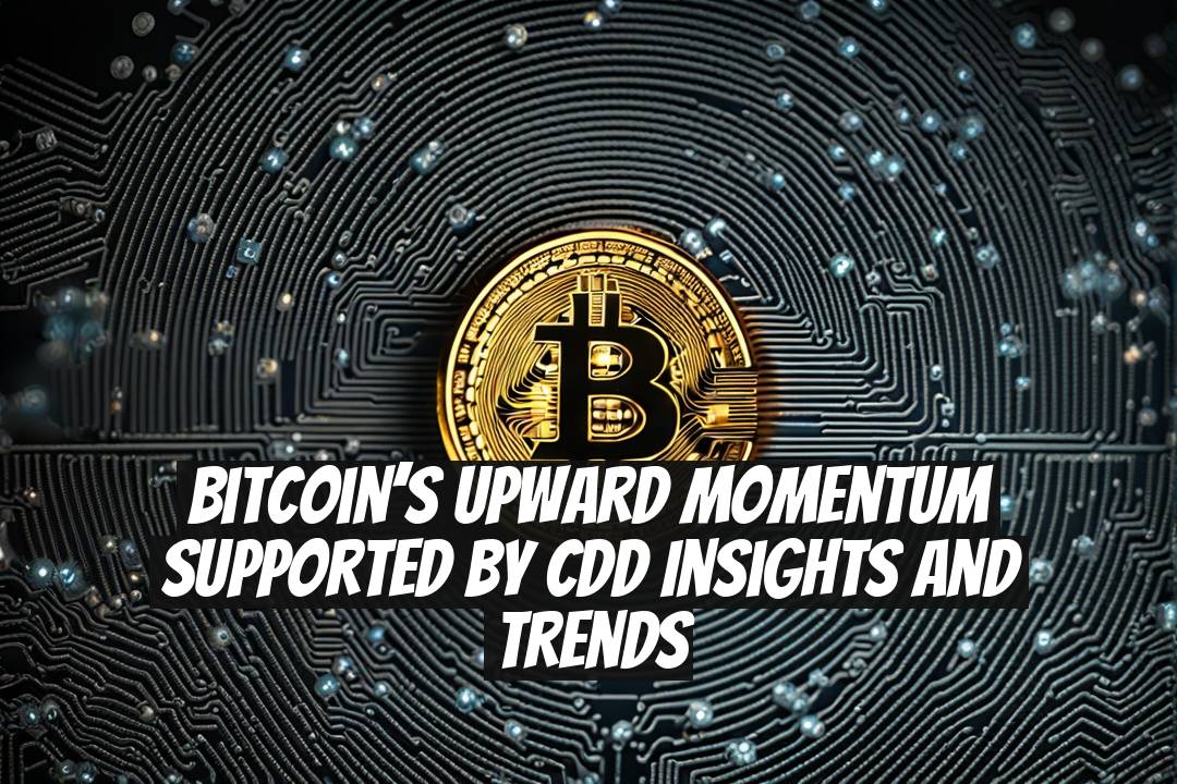 Bitcoin’s Upward Momentum Supported by CDD Insights and Trends