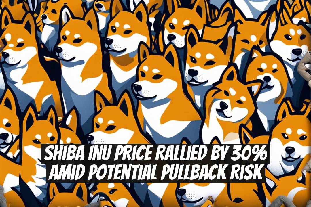 Shiba Inu Price Rallied by 30% Amid Potential Pullback Risk