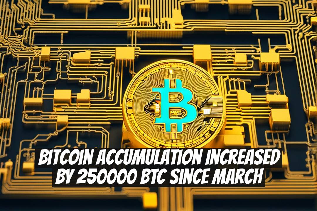 Bitcoin Accumulation Increased by 250000 BTC Since March
