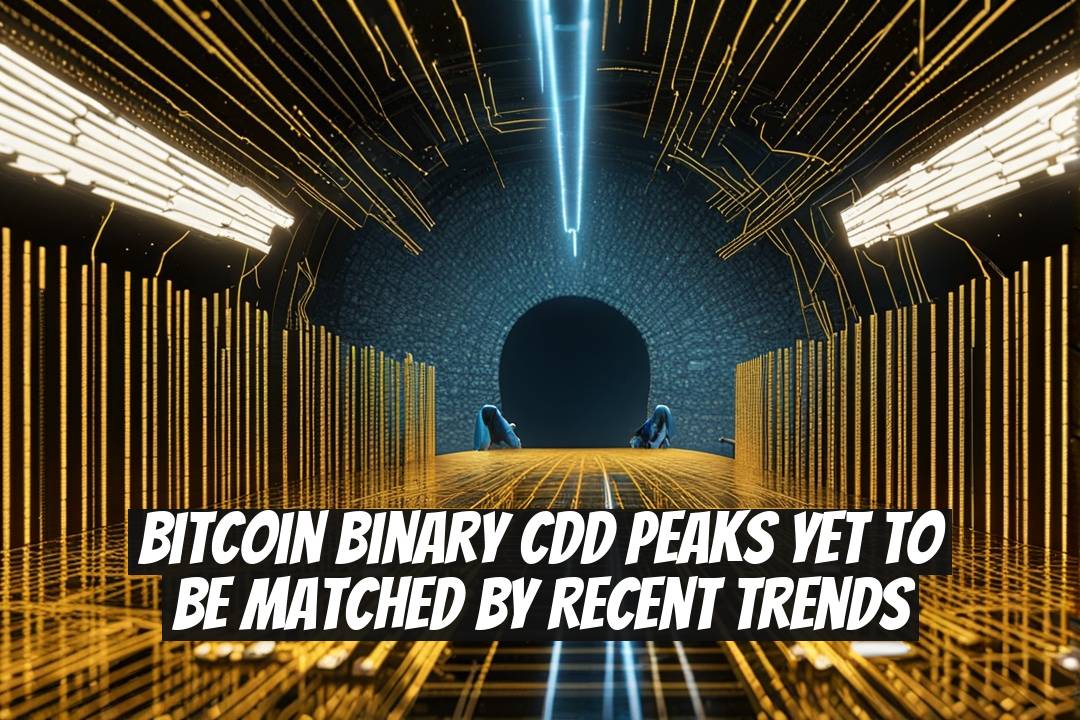 Bitcoin Binary CDD Peaks Yet to Be Matched by Recent Trends
