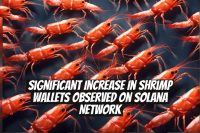 Significant Increase in Shrimp Wallets Observed on Solana Network