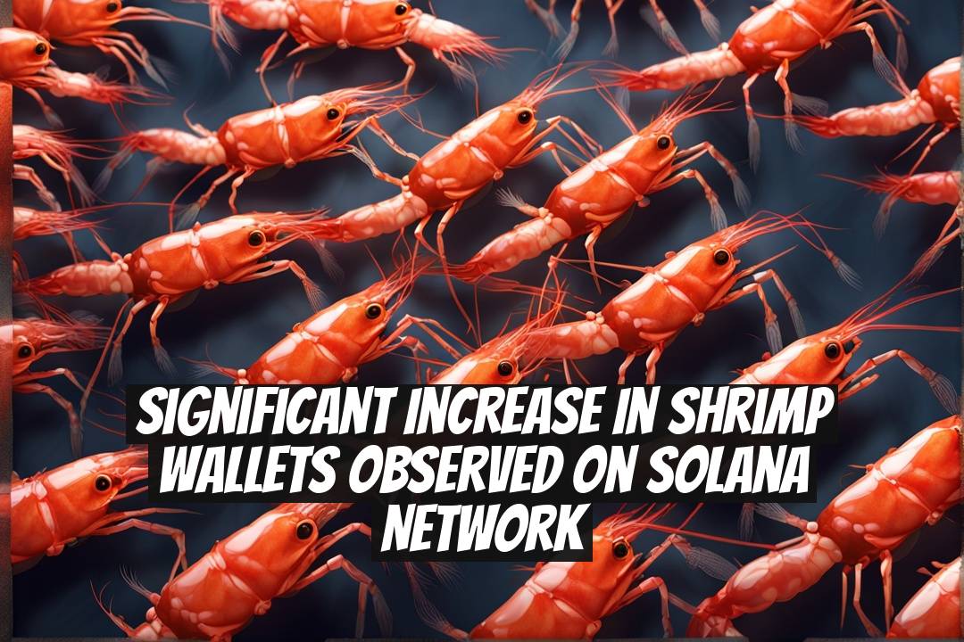 Significant Increase in Shrimp Wallets Observed on Solana Network